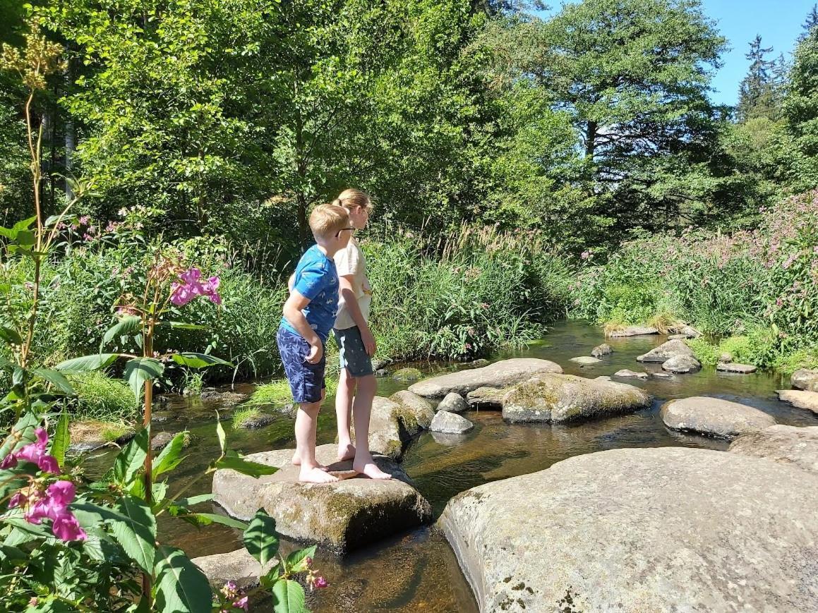 Glamping-Paradies Am Dengler Hof Hohenberg an der Eger Экстерьер фото